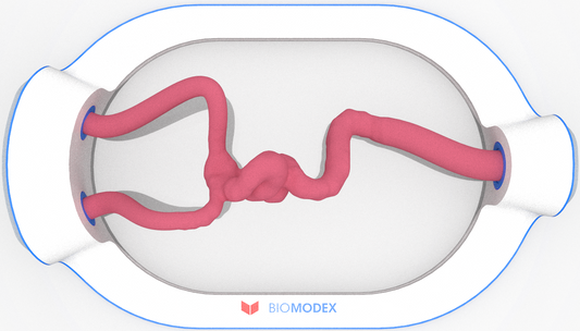 EVIAS -HMS -Cartridge - #0517