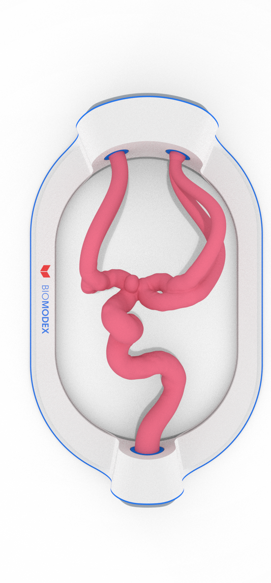 EVIAS -HMS -Cartridge - #100