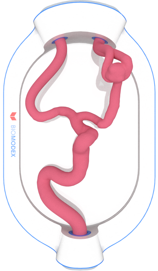 EVIAS -HMS -Cartridge - #0600