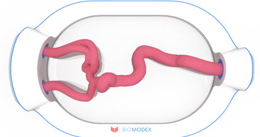 EVIAS -HMS -Cartridge - #0556