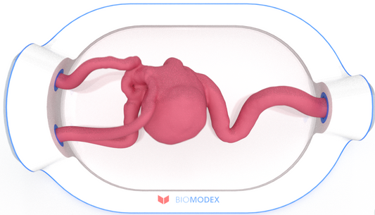 EVIAS -HMS -Cartridge - #0491