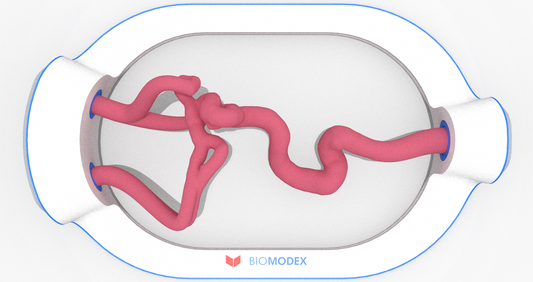 EVIAS -HMS -Cartridge - #0509