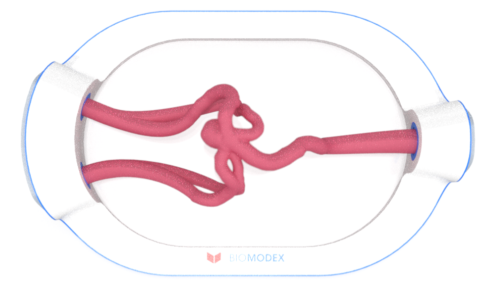 EVIAS -HMS -Cartridge - #0686