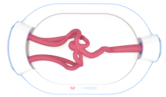 EVIAS -HMS -Cartridge - #0686