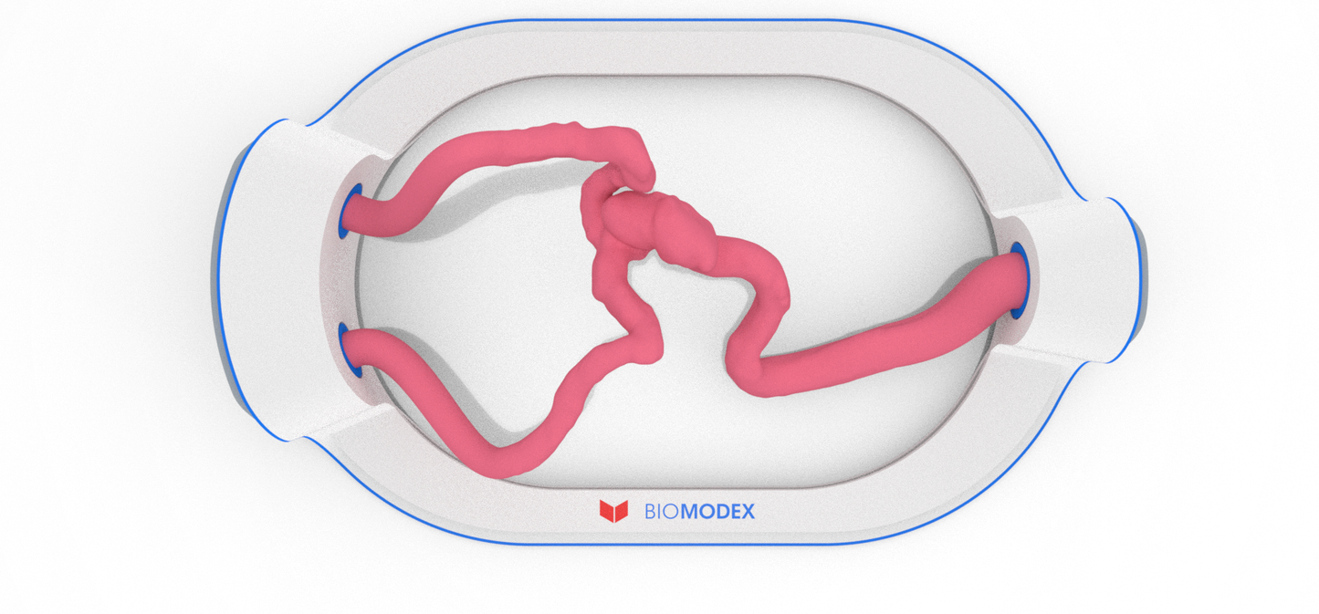 EVIAS -HMS -Cartridge - #104