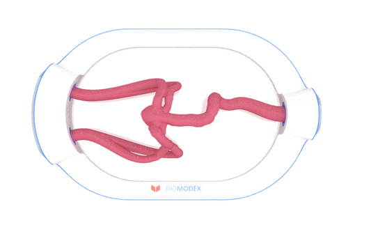 EVIAS -HMS -Cartridge - #0667