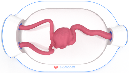 EVIAS -HMS -Cartridge - #0497