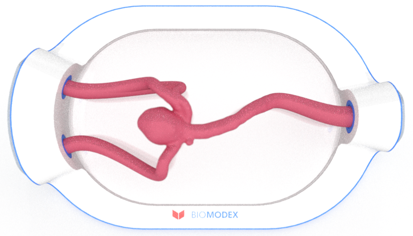 EVIAS -HMS -Cartridge - #0709