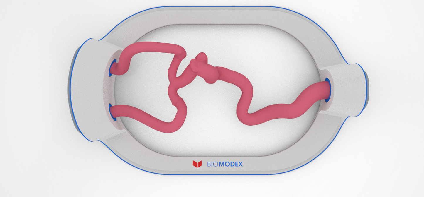 EVIAS -HMS -Cartridge - #83