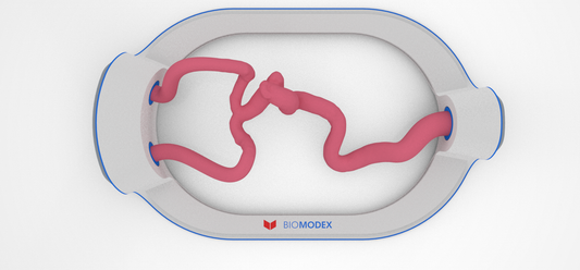 EVIAS -HMS -Cartridge - #83