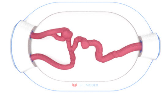 EVIAS -HMS -Cartridge - #0694