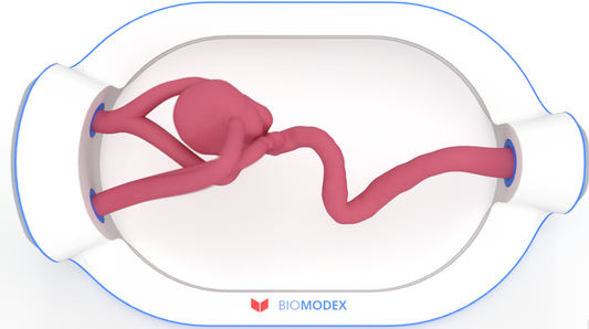 EVIAS -HMS -Cartridge - #0754