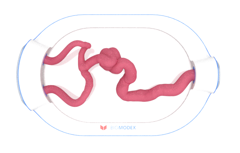 EVIAS -HMS -Cartridge - #0683