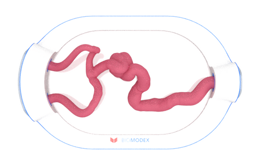 EVIAS -HMS -Cartridge - #0683