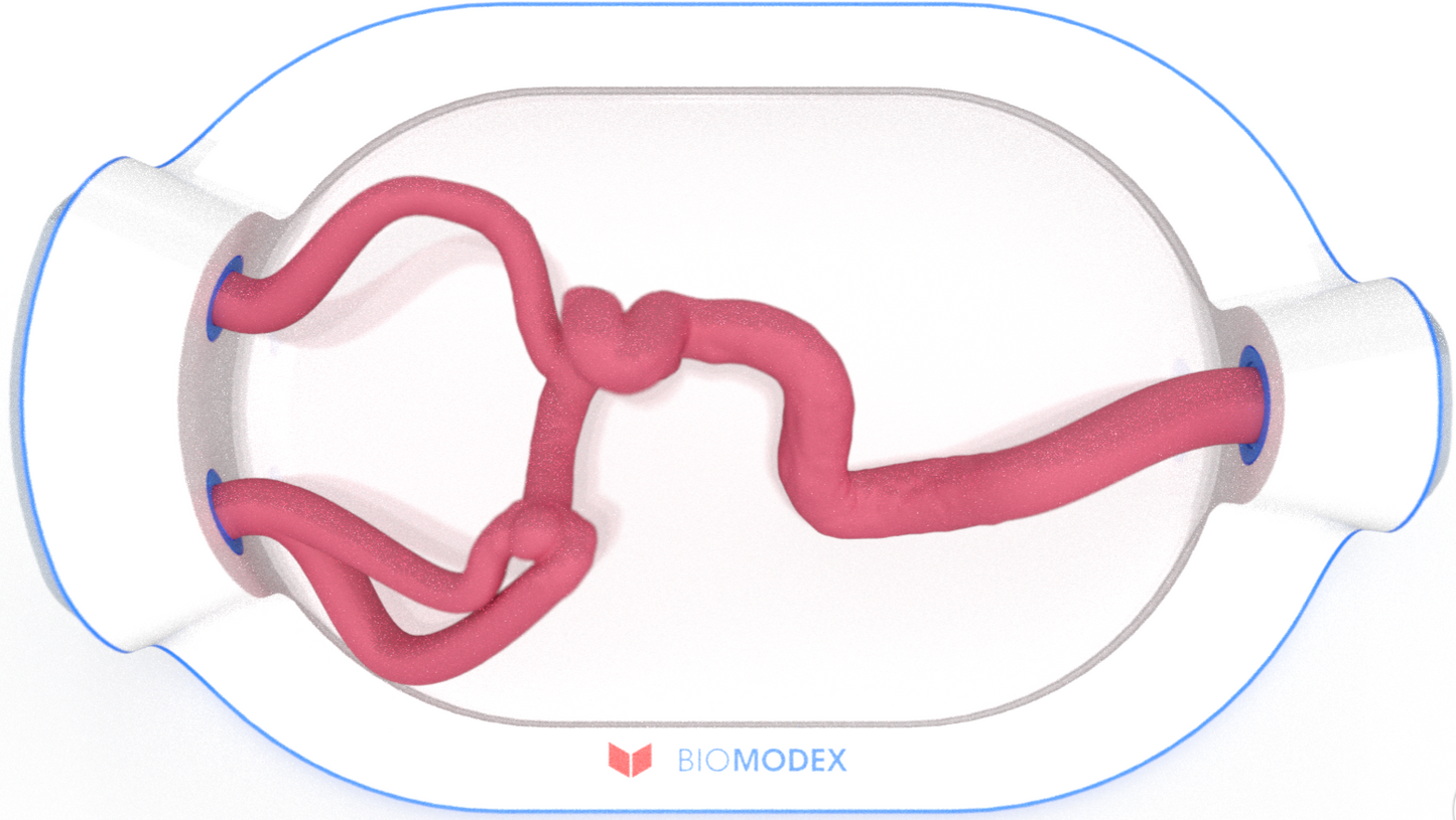 EVIAS -HMS -Cartridge - #0733