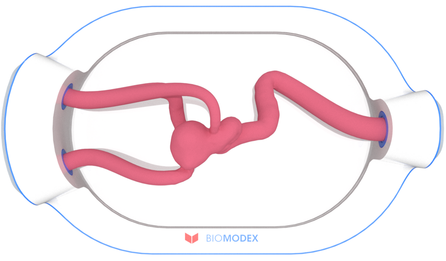 EVIAS -HMS -Cartridge - #0619