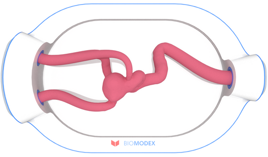 EVIAS -HMS -Cartridge - #0619