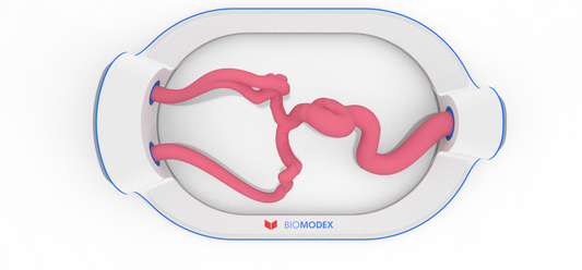 EVIAS  - HMS - Cartridge  - #102