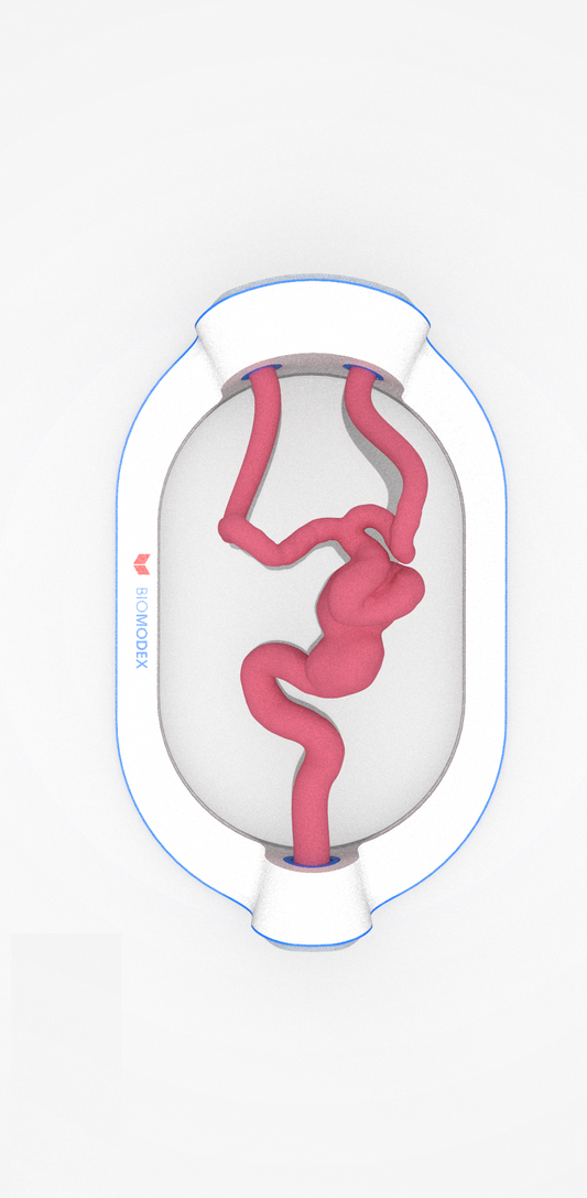 EVIAS -HMS -Cartridge - #0476