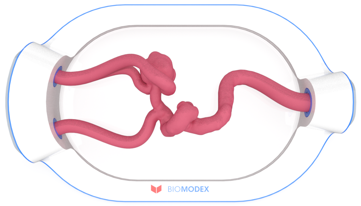 EVIAS -HMS -Cartridge - #0651