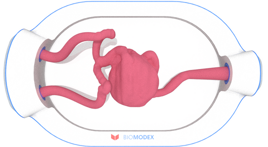 EVIAS -HMS -Cartridge - #0589