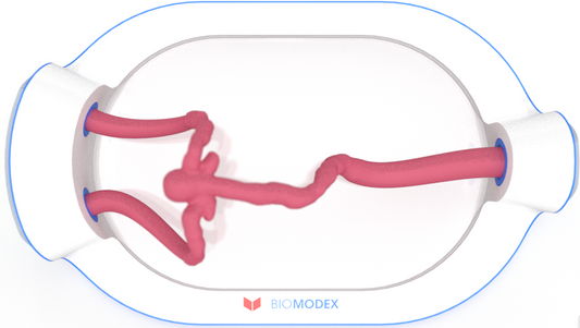 EVIAS -HMS -Cartridge - #0478