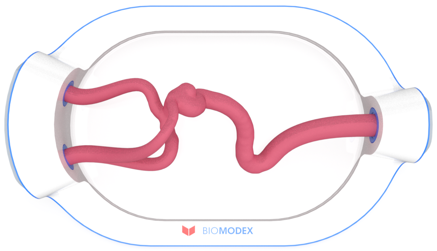 EVIAS -HMS -Cartridge - #0649