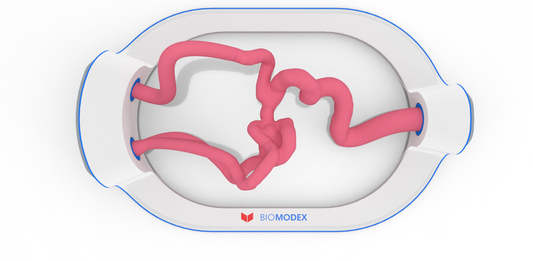 EVIAS -HMS -Cartridge - #325