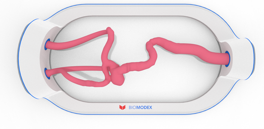 EVIAS -HMS -Cartridge - #336