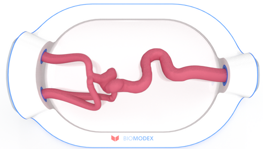 EVIAS -HMS -Cartridge - #0751