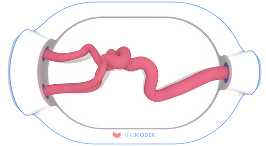 EVIAS -HMS -Cartridge - #0570