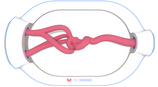 EVIAS -HMS -Cartridge - #0592