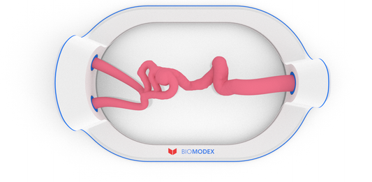 EVIAS -HMS -Cartridge - #35