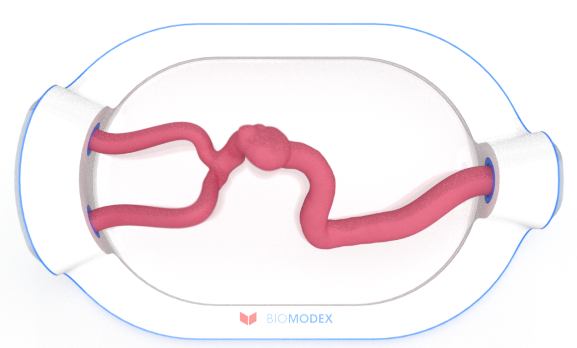 EVIAS -HMS -Cartridge - #0717