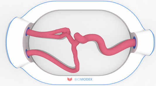 EVIAS -HMS -Cartridge - #0515