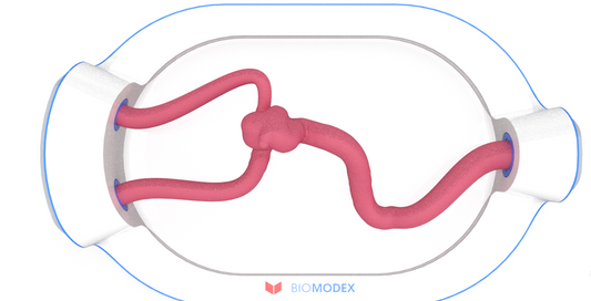 EVIAS -HMS -Cartridge - #0645