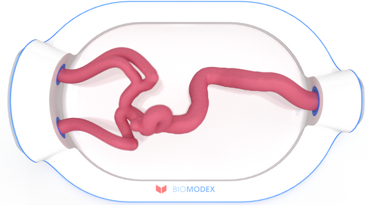 EVIAS -HMS -Cartridge - #0740