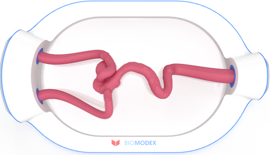 EVIAS -HMS -Cartridge - #0724