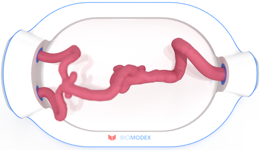 EVIAS -HMS -Cartridge - #0506