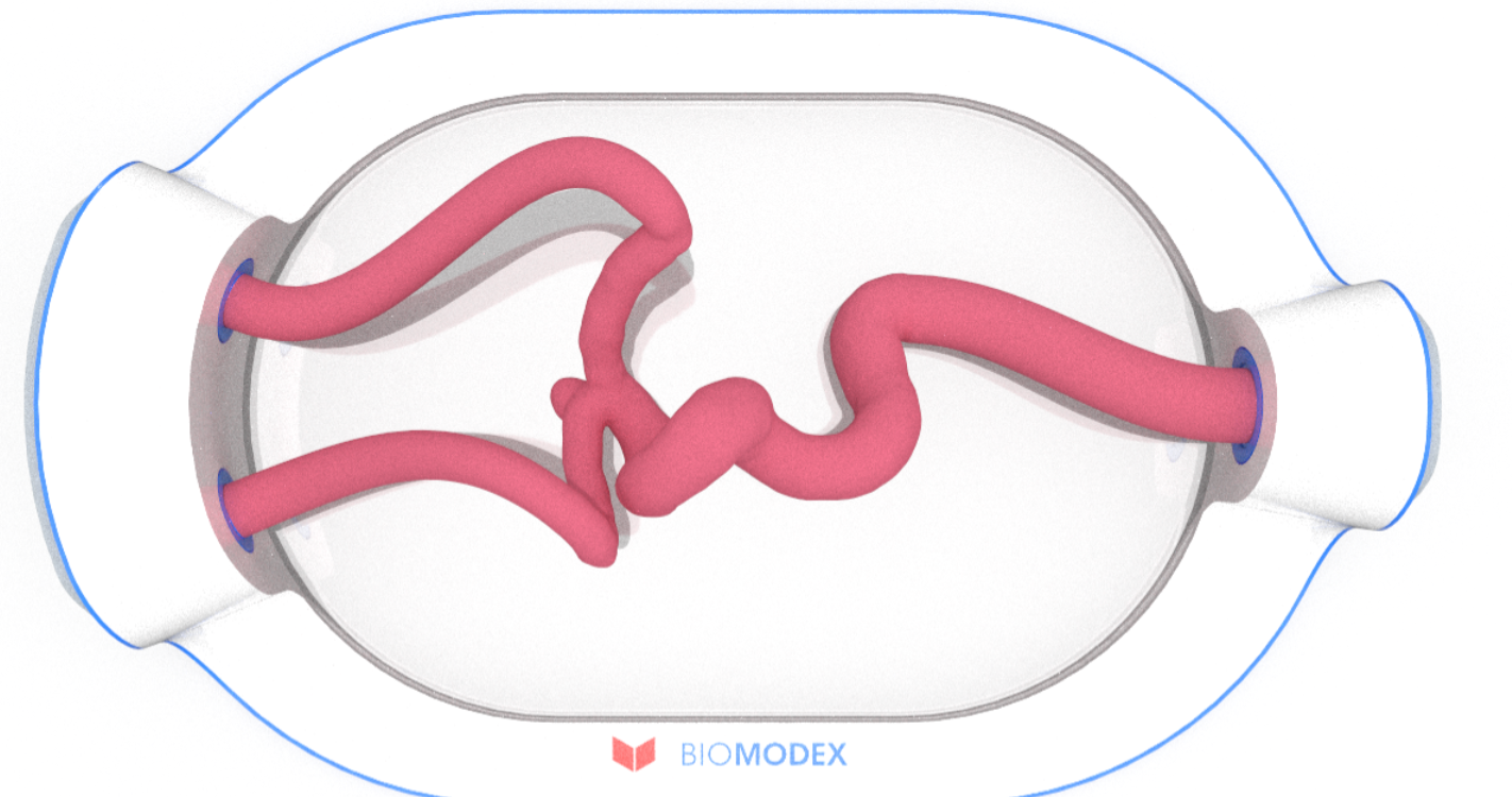 EVIAS -HMS -Cartridge - #0547