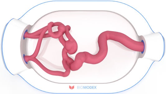 EVIAS -HMS -Cartridge - #0502