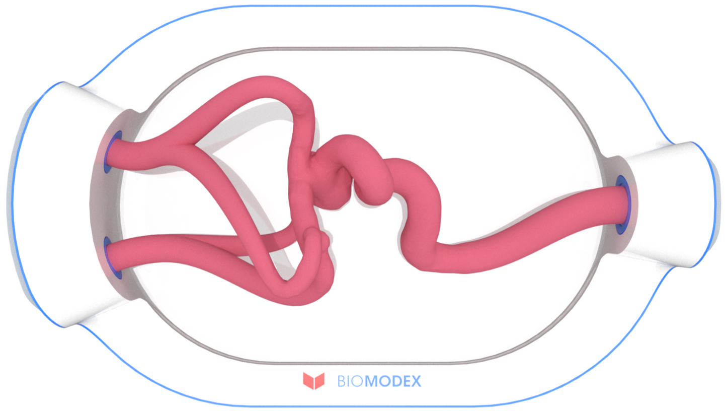 EVIAS -HMS -Cartridge - #0616