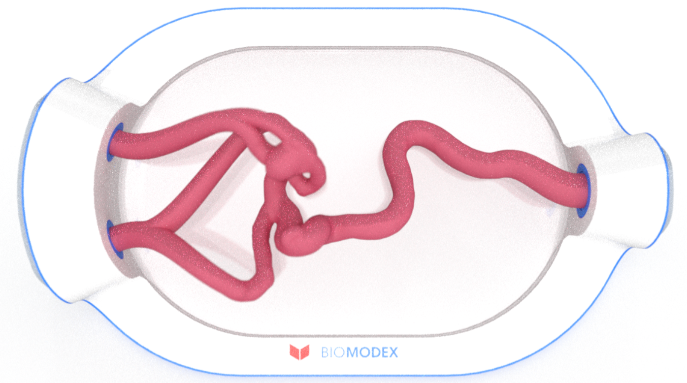 EVIAS -HMS -Cartridge - #0708