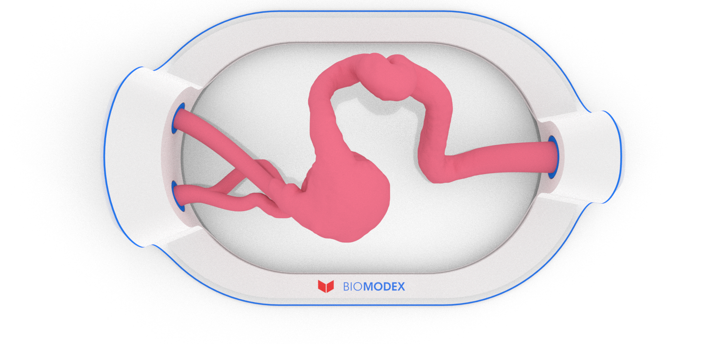 EVIAS -HMS -Cartridge - #42