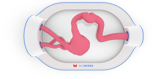 EVIAS -HMS -Cartridge - #42