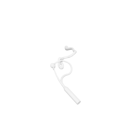 Acomm Aneurysm Model - AN113