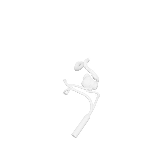 Cavernous Aneurysm Model - AN120