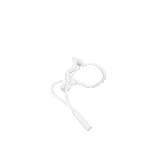 ICA Terminus Aneurysm Model - AN172