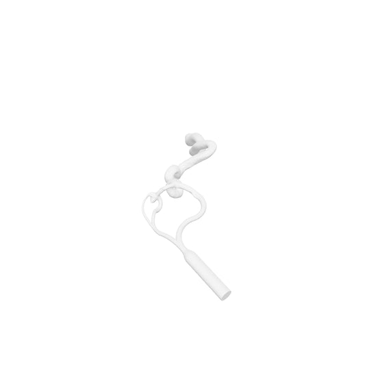 Acomm Aneurysm Model - AN178