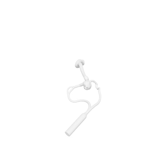 Basilar Terminus Aneurysm Model - AN184